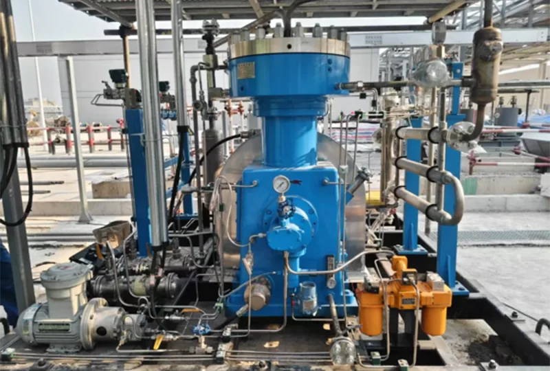 D Diaphragm Compressor